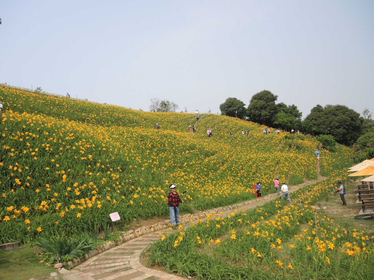 ▲針對暫緩離島及宜花東旅遊補助部分，觀光局回應澄清僅是為了分散旅客人潮，並無取消補助。（圖／NOWnews資料照，記者陳雅芳攝）