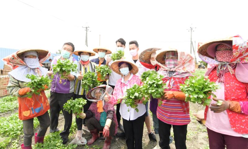 ▲王惠美參訪北斗鎮香菜農場，要讓大家知道香菜也可以變換出好吃的料理、吃的健康。（圖／記者陳雅芳攝，2020.04.22）