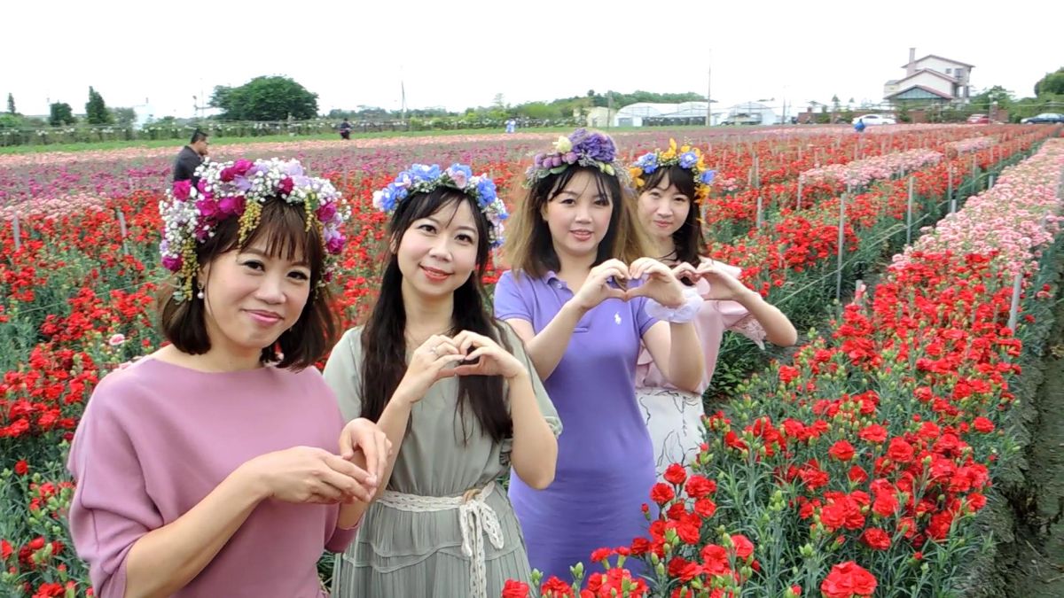 ▲一年一度的母親節即將到來，田尾鄉種植康乃馨的青農董韋志開放讓民眾打卡拍照，五顏六色的康乃馨，形成一片美麗的花海，相當美麗。（圖／記者陳雅芳攝，2020.04.23）