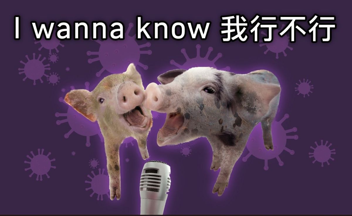 ▲（圖／翻攝自海巡署長室臉書）