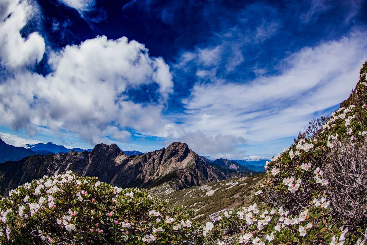 ▲因應新冠肺炎疫情，許多民眾假期選擇國內旅遊登山。（圖／翻攝自玉山國家公園臉書）