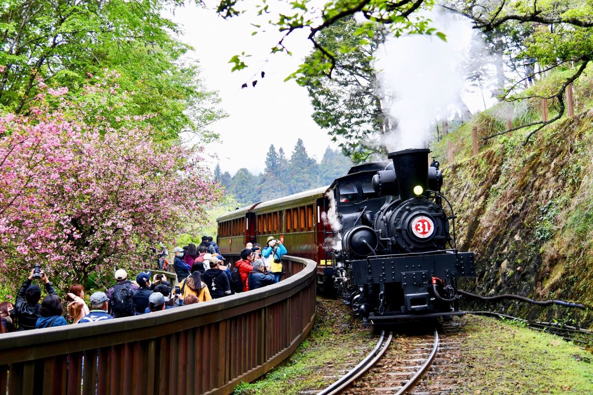 「2020林鐵花季主題列車」影像徵集中，即日起至109年5月31日截止。（圖/林鐵及文資處提供，2020.04.27）