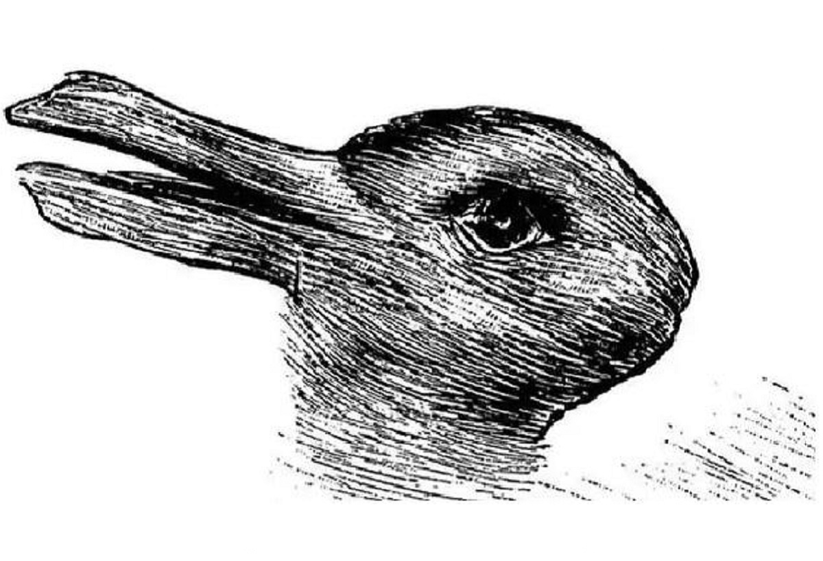 ▲第一眼看到哪種動物？秒解你的「真實性格」。（圖／翻攝自Look Pretty）