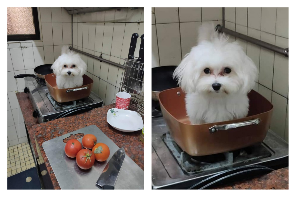 ▲（圖／翻攝自爆廢公社臉書）