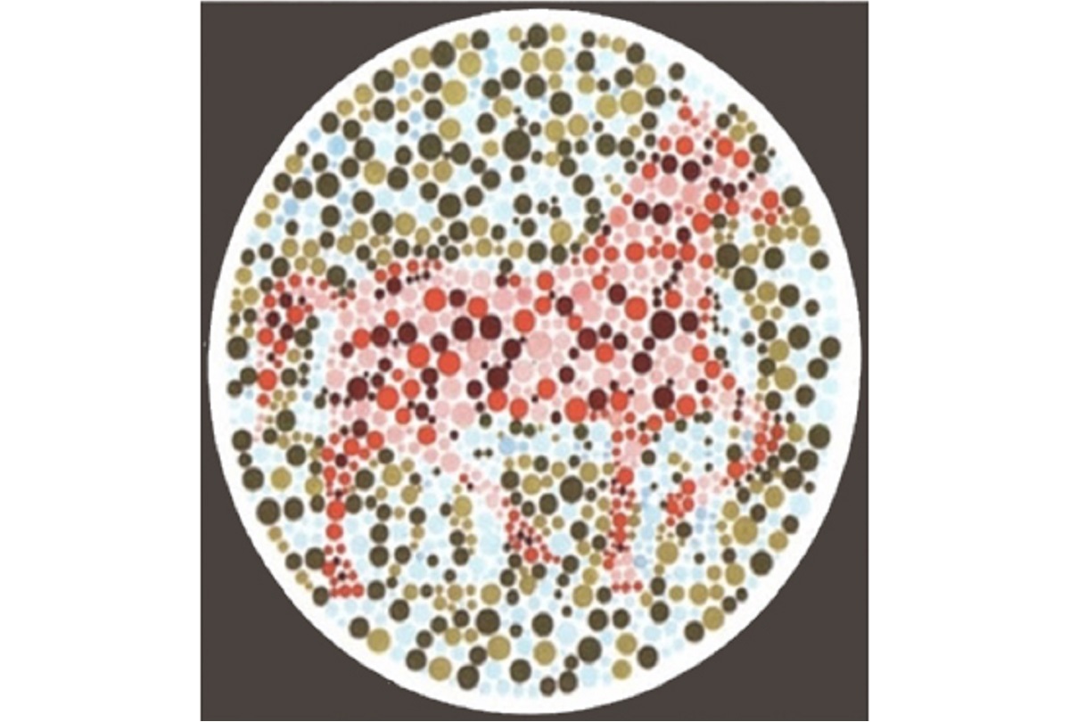 ▲第一眼看到什麼動物？秒解你的「人格特質」。（圖／翻攝自Look Pretty）