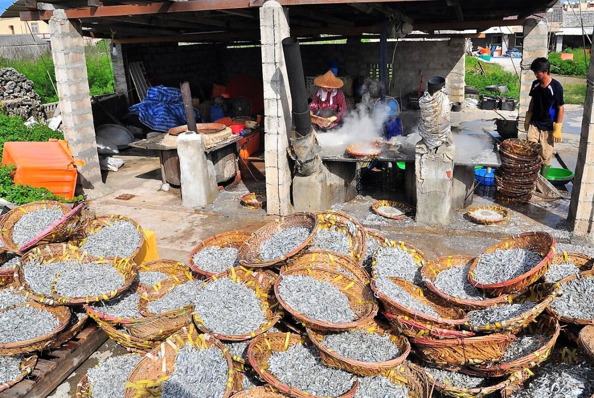 ▲澎湖縣政府公告將自5月1日至6月1日止為丁香魚禁漁期，，希望這1個月時間能讓丁香魚產卵及幼魚成長茁壯，達到休養生息的目的。（圖／記者張塵攝，2020.04.30）