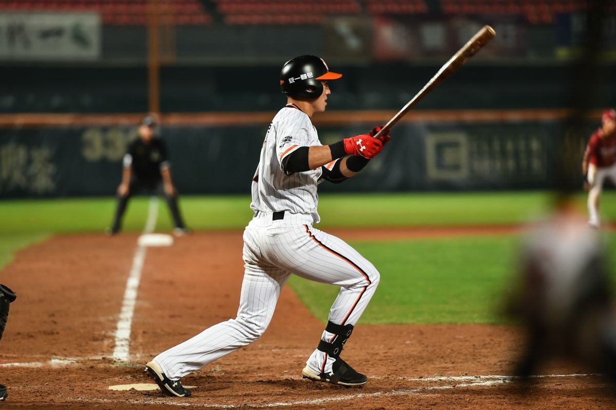 林安可。（獅隊提供）