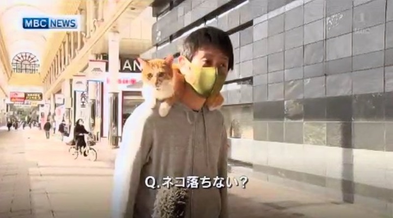 商店街疫情採訪巧遇「人上有貓」　男子神回覆網笑炸！