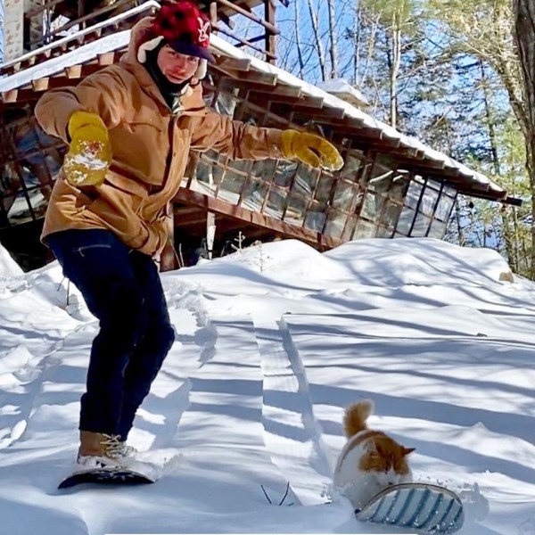 奴才熱愛極限運動　連愛貓也學會滑雪網驚豔：超狂的！