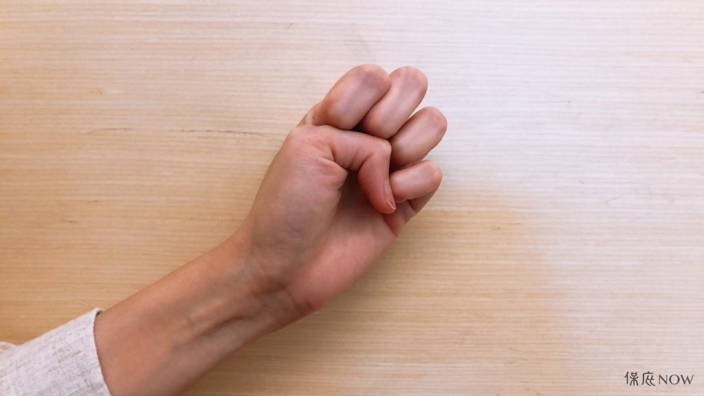 五雷指示意圖。（圖／記者連宜方攝）