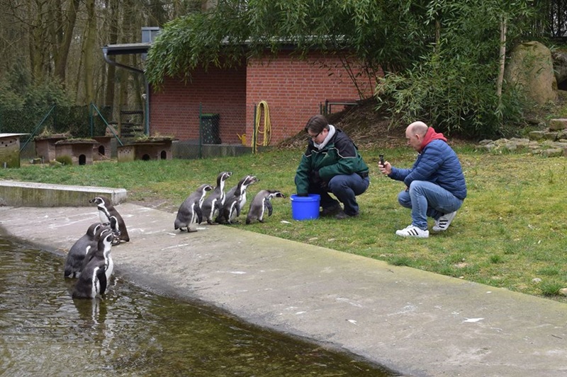 因疫情頓失收入！德動物園列「安樂死名單」　擬將部分動物餵給其他隻 