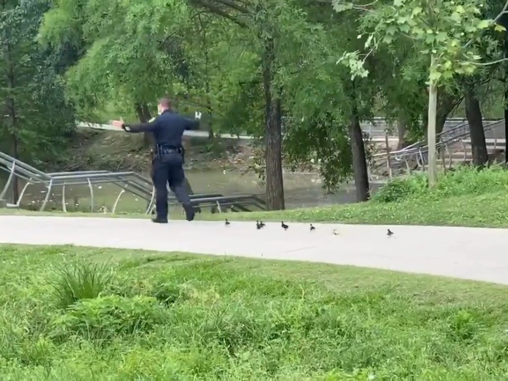 大家不要急！排好隊～往這邊走～（圖／Twitter@PriscillaWT） 