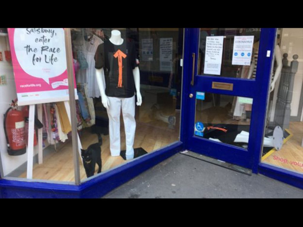 蘭基不停隔著櫥窗玻璃磨蹭，似乎非常想念他們。（圖／Richard Clarke） 