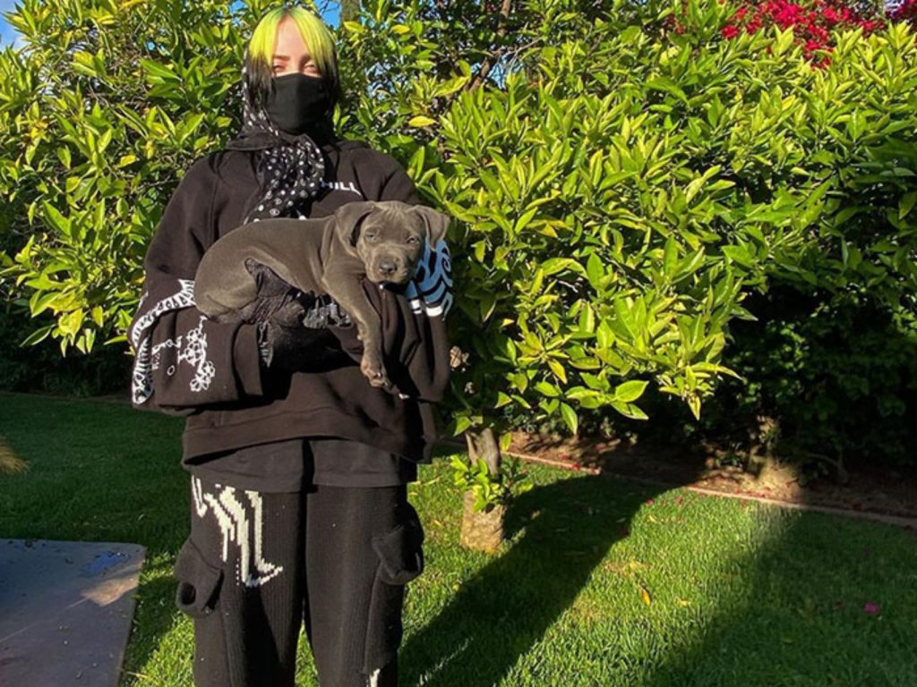 本來只是想中途小狗狗啊～怎麼知道牠們這麼可愛啦～（圖／IG@billieeilish） 