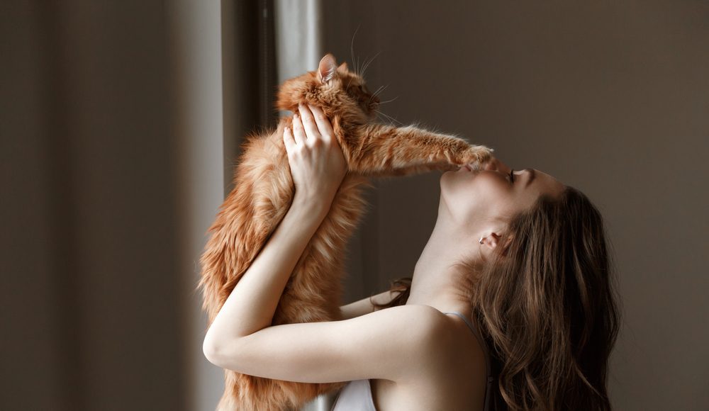 ▲就算走到2020年，女人都當總統了，社會還是對大齡單身女相當歧視。（圖／Shutterstock）