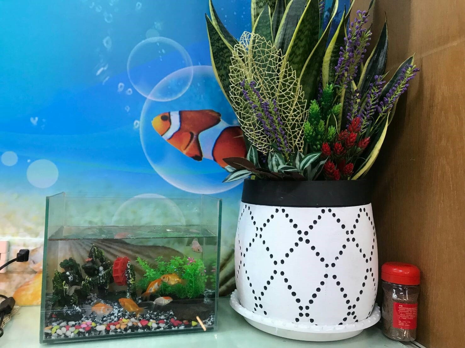 魚缸背景可以使用水色背景 （如：海洋背景），同樣能夠提升財運。 （圖／楊尚義老師提供）