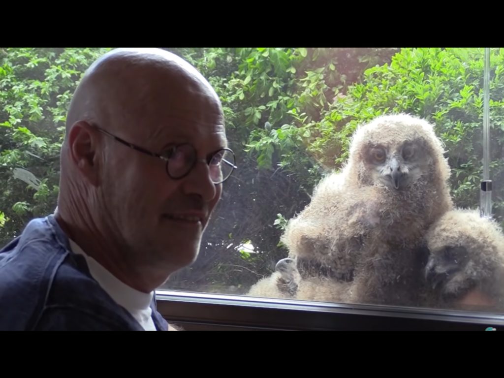 寶寶們會跟著巴特一起看電視。（圖／Youtube@Vroege Vogels） 