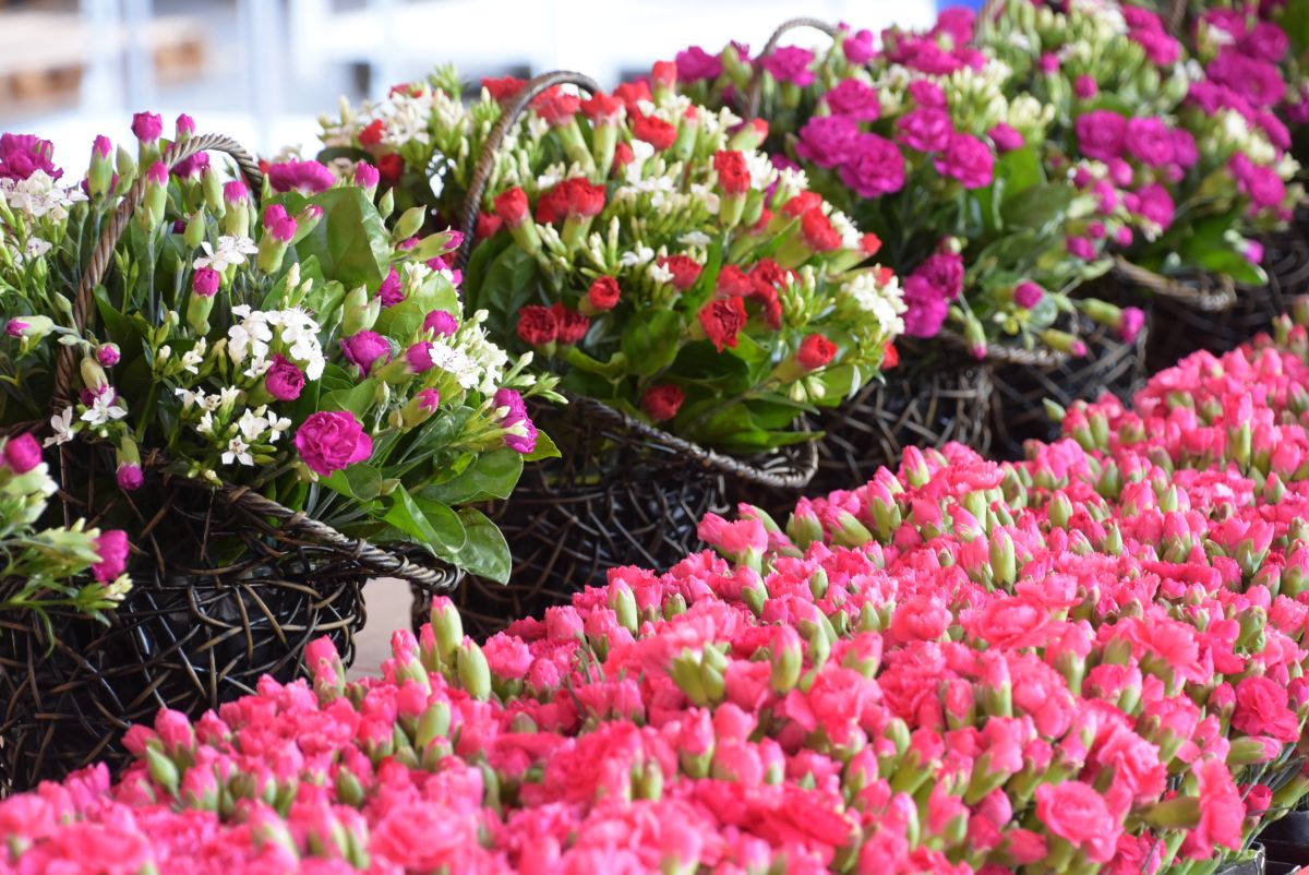 ▲母親節前夕買康乃馨送給媽媽，傳達對媽媽的感謝。（圖／記者陳雅芳攝）