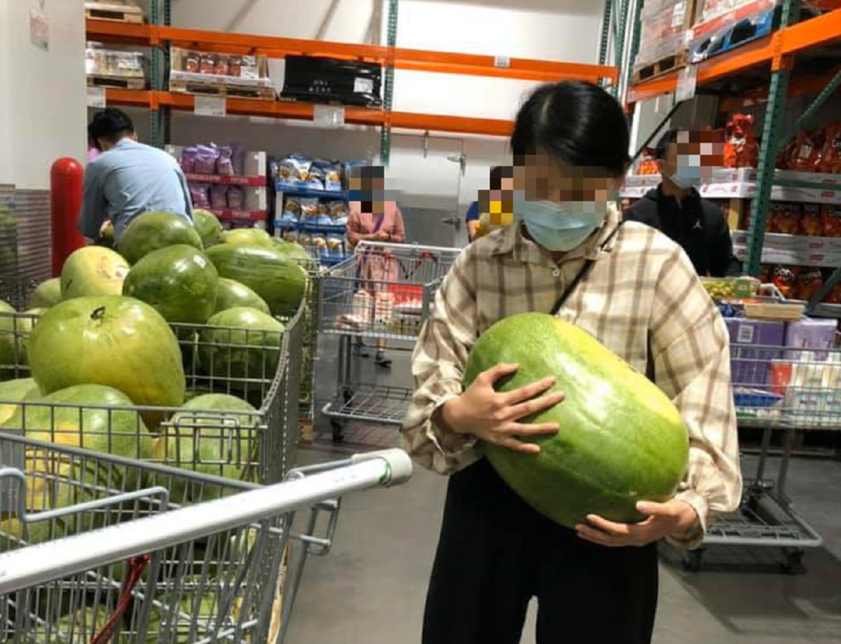 ▲一名女網友在臉書社團「Costco好市多 商品經驗老實說」中分享自己在好市多買了 13 公斤大瓜，回家一秤竟重達 15-16 公斤，讓她不禁直呼「挖到寶」。（圖／翻攝自Costco好市多 商品經驗老實說）