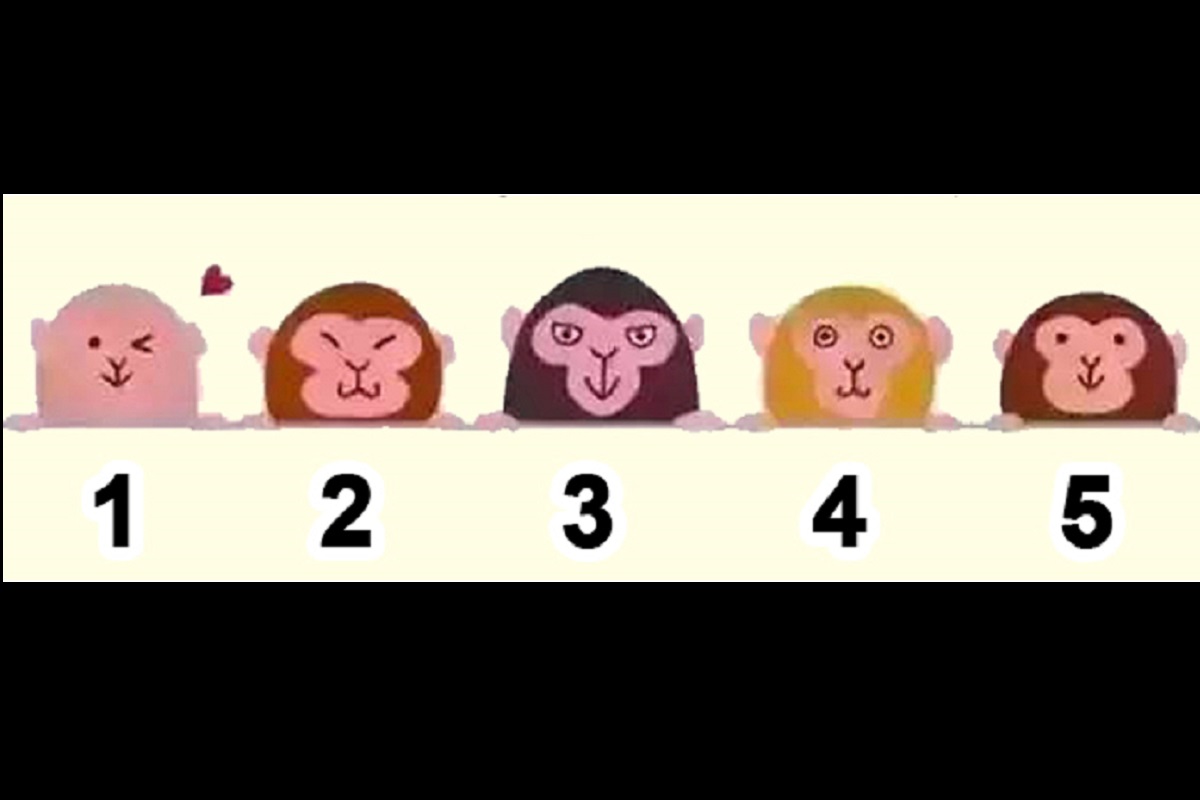 ▲最喜歡哪隻猴子？答案將揭開你內心深處「真實的自己」。（圖／翻攝自Look Pretty）