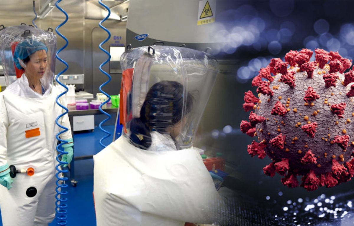 ▲新型冠狀病毒起源仍不明。（圖／翻攝自 The New Daily ）