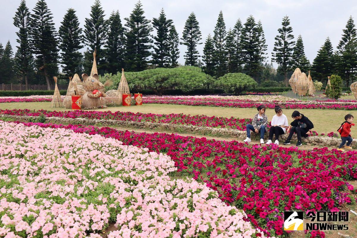 ▲澎湖民眾在馬公、鎖港及通樑3個都市計畫區內，平均每人可享有14.85平方公尺的公園綠地，高於台北市文山區平均值10.98平方公尺，全國排名第三。（圖／記者張塵攝，2020.05.05）