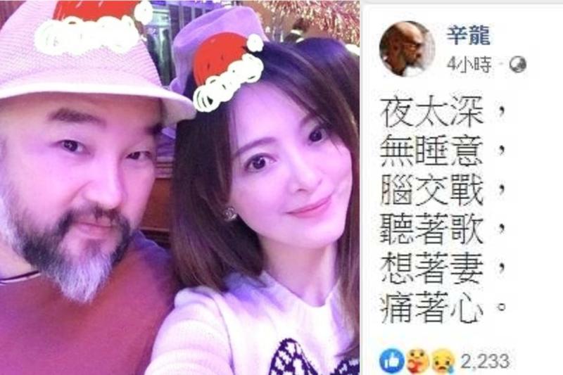 ▲辛龍發文訴說想念劉真的心情。(圖/取自辛龍臉書)