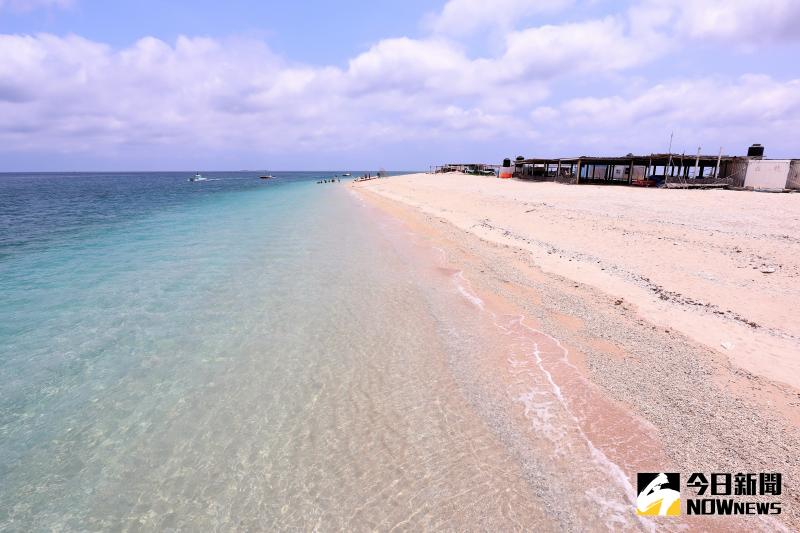 海鳥過境有家了　澎澎灘煥然一新成度假勝地
