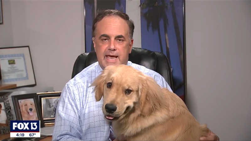 ▲保羅日前在家中直播預報氣象，沒想到卻被黃金獵犬布洛迪搶走整場秀。（圖／Youtube@FOX 13 News – Tampa Bay）