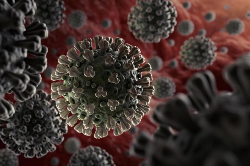 新冠病毒變異多又快　美研究報告：有抗體者仍恐二度感染
