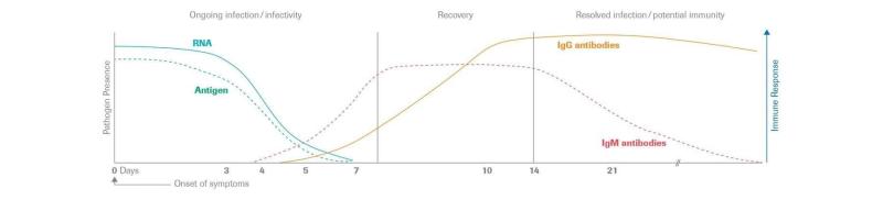 ▲IgM、IgG抗體在體內隨時間的消長。(圖/翻攝吳昌騰醫師臉書)