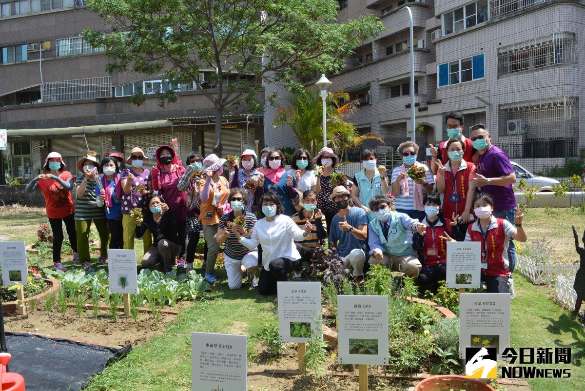 ▲詩經園圃透過詩經所繪植物圖案與優美句子，與長輩所種植物產生連結。（圖／記者郭政隆攝影2020.5.7）
