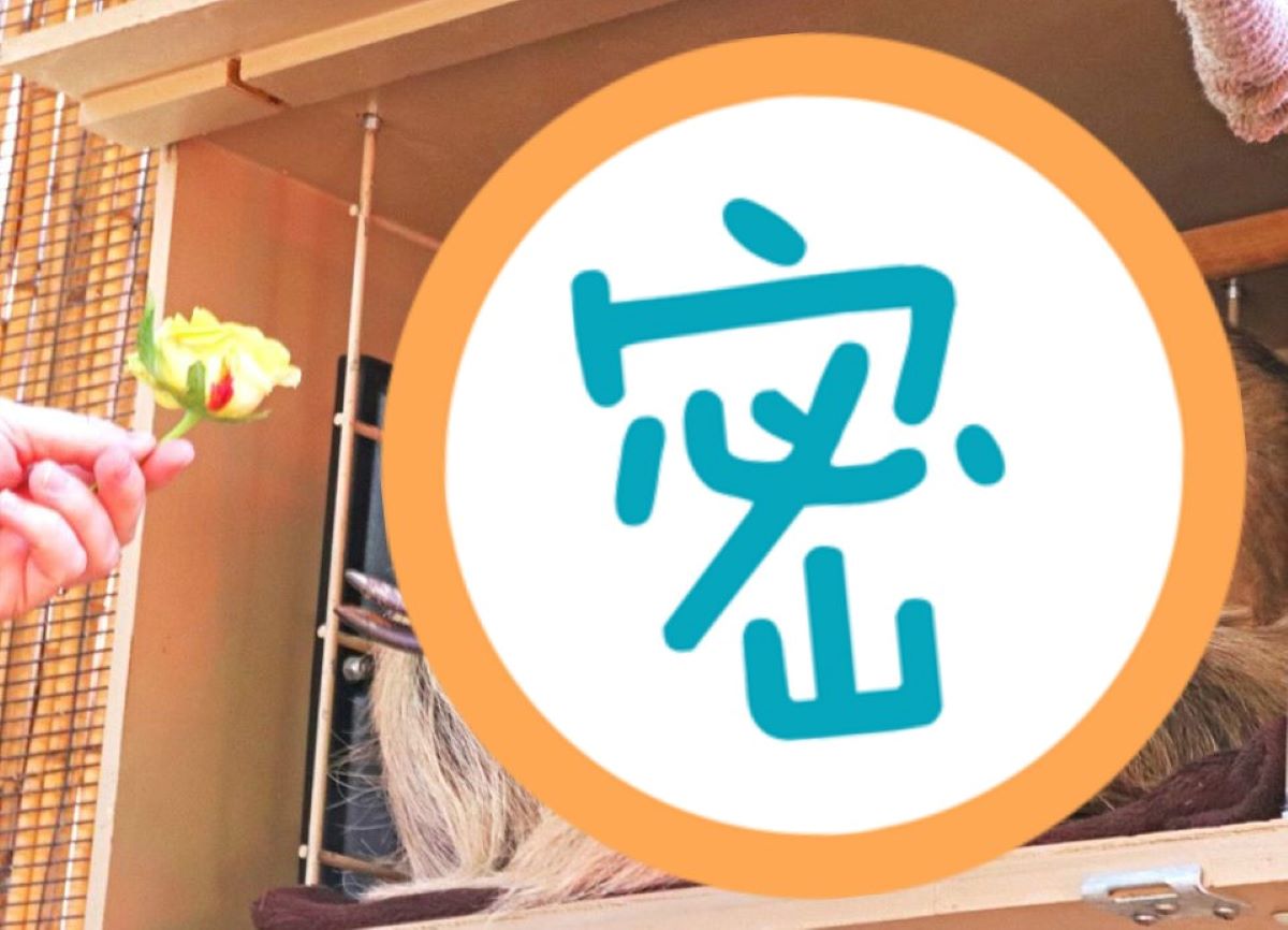 ▲鳳凰城動物園推「超萌直播主」替園區吸金。（圖／翻攝自 Phoenis Zoo Facebook ）