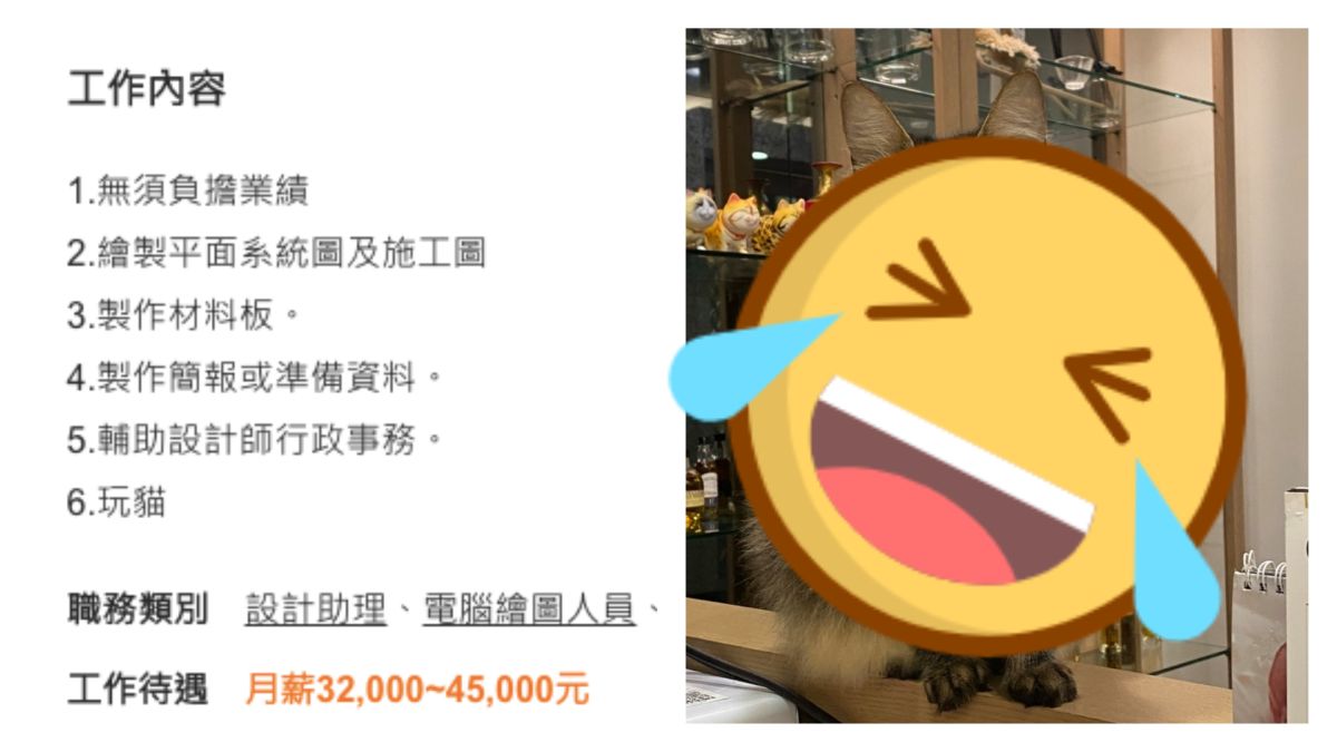 ▲網友在人力銀行上發現有公司的工作內容包括「玩貓」。（圖／翻攝自104人力銀行）