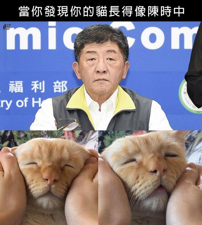 ▲Teto的表情和阿中部長神似。(圖/翻攝自台灣迷因