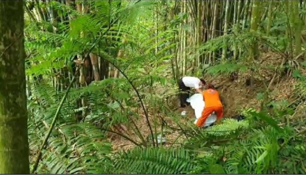 ▲疑因想念相繼去世的妻女，陳姓老翁在自家後山的竹林自埋身亡。(記者陳惲朋翻攝)