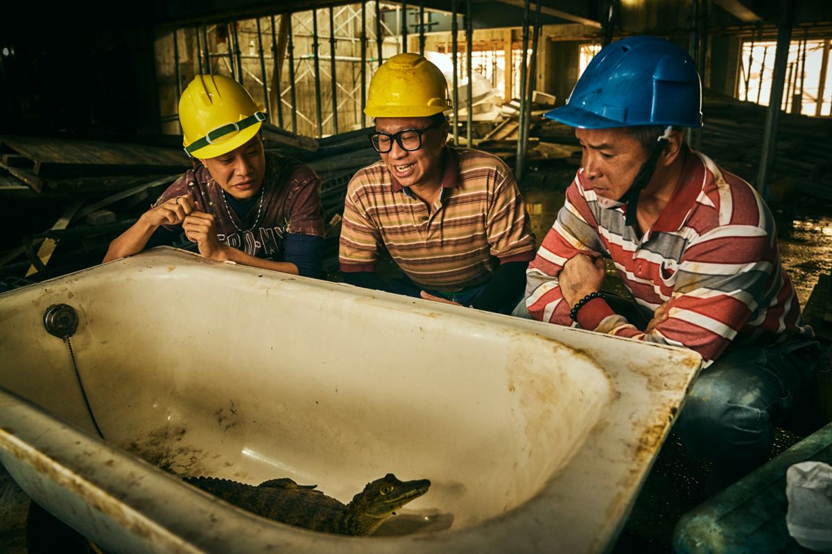 ▲《做工的人》請到真鱷魚。（圖 / 大慕影藝提供）