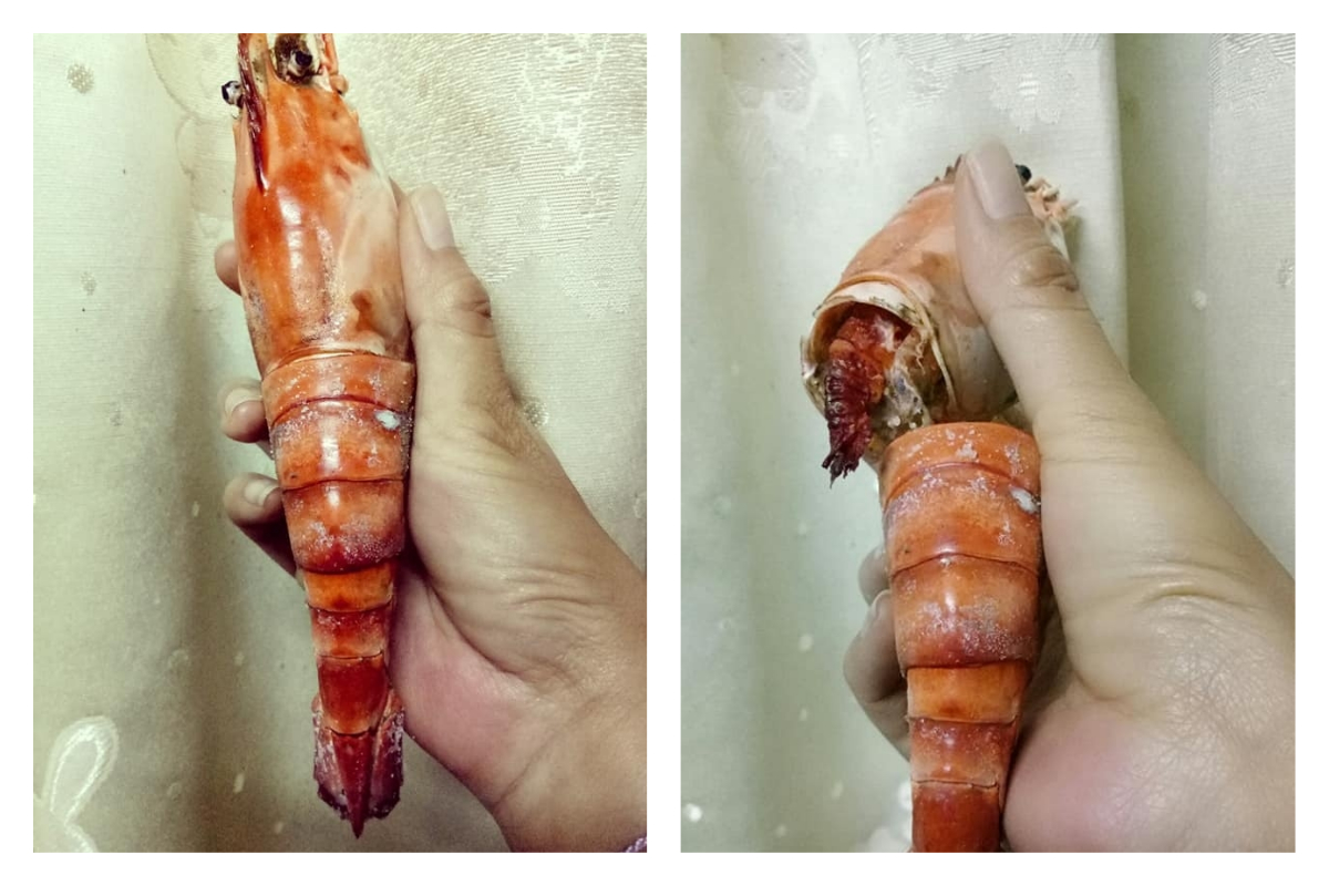 ▲女網友在菜市場買到巴掌大的泰國蝦，結果回家料理卻發現「中看不中用」，蝦身竟只有 3 公分。（圖／翻攝自爆怨公社臉書）