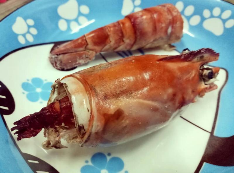 ▲女網友在菜市場買到巴掌大的泰國蝦，結果回家料理卻發現「中看不中用」，蝦身竟只有