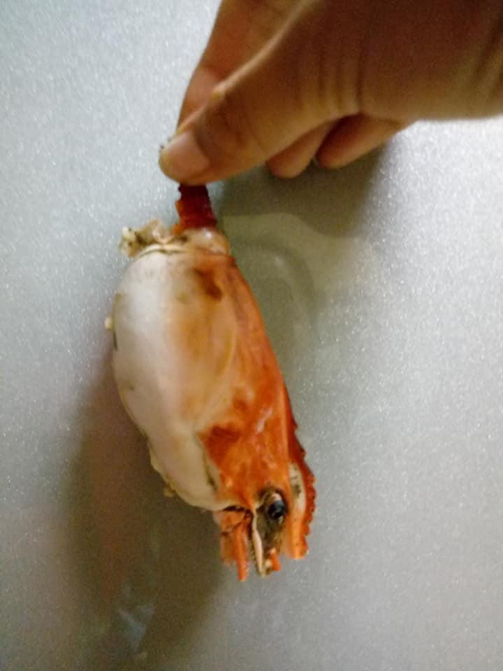 ▲女網友在菜市場買到巴掌大的泰國蝦,結果回家料理卻發現「中看不中用」,蝦身竟只有
