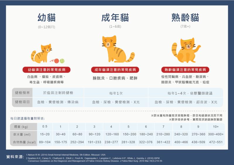 ▲7歲以上的熟齡貓建議按獸醫師建議,安排至少每半年一次定期健檢。(圖/公關照片)