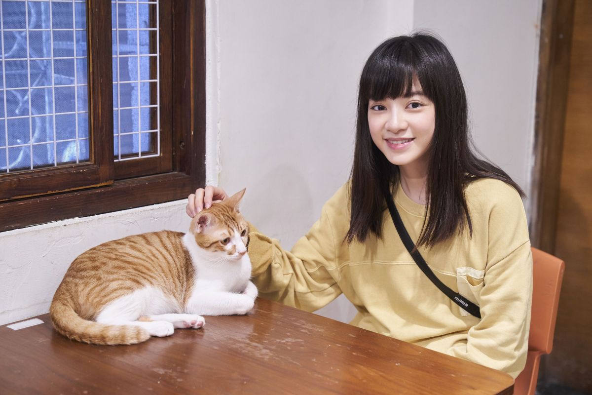 ▲姚愛寗親近流浪動物。（圖 / 華研國際）
