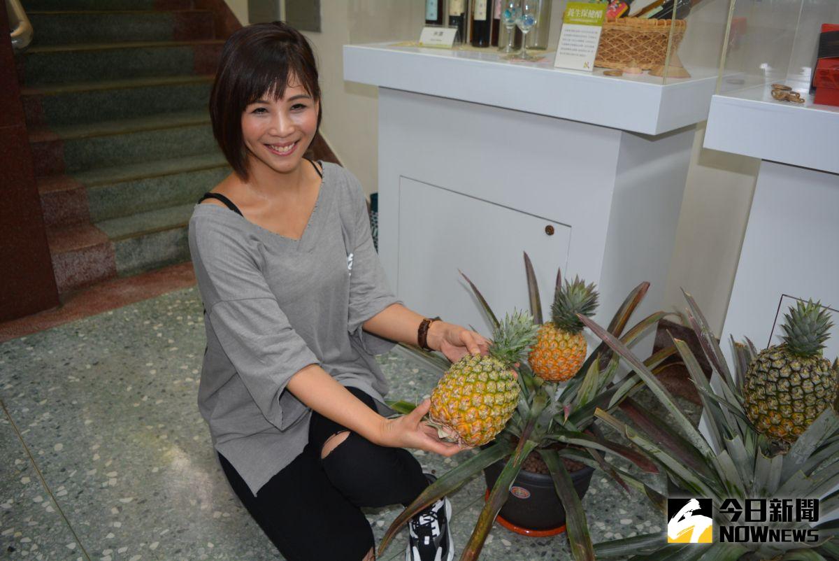 ▲台農23號鳯梨深受消費市場青睞。（圖／記者郭政隆攝影2020.5.15）