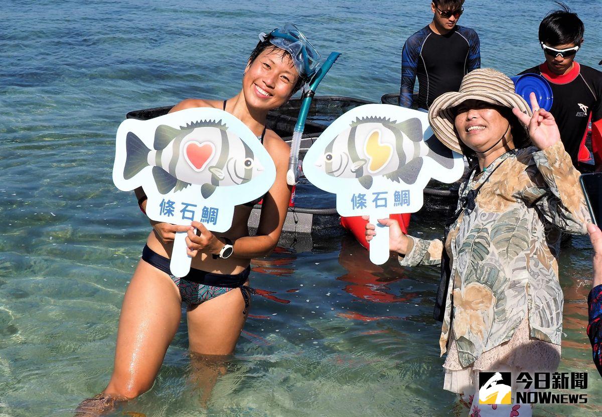 ▲台電尖山電廠與水試所澎湖海洋生物研究中心在澎湖菓葉海域放流1萬尾條石鯛的幼苗，來自桃園的女孩吳瑞婷，意外成為大家爭相拍照的焦點。（圖／記者張塵攝，2020.05.15）