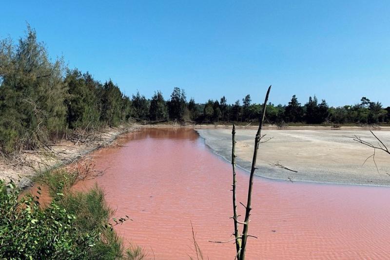 金門出現粉紅湖　環保局：疑似藻類增生的「紅潮」現象

