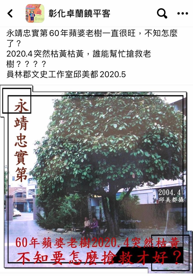 ▲員林郡文史工作室邱美都為老樹請命,在臉書社團發文,請求大家搶救老樹。(圖/記者陳雅芳翻攝,2020.05.18)