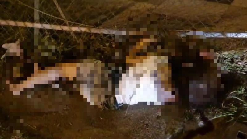 ▲黃女遭高速撞擊,噴飛10公尺遠,當場倒地不起。(圖/記者陳聖璋翻攝)