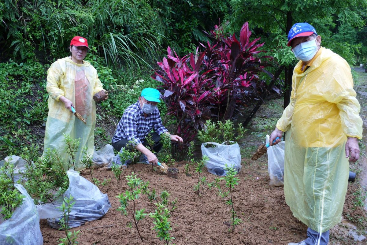 ▲新北市各農業團體在瑞芳區台灣原生植物保種中心種下20棵鐘萼木及500棵烏來杜鵑，一起為維護生物多樣性盡一份心力。（圖／新北市農業局提供）