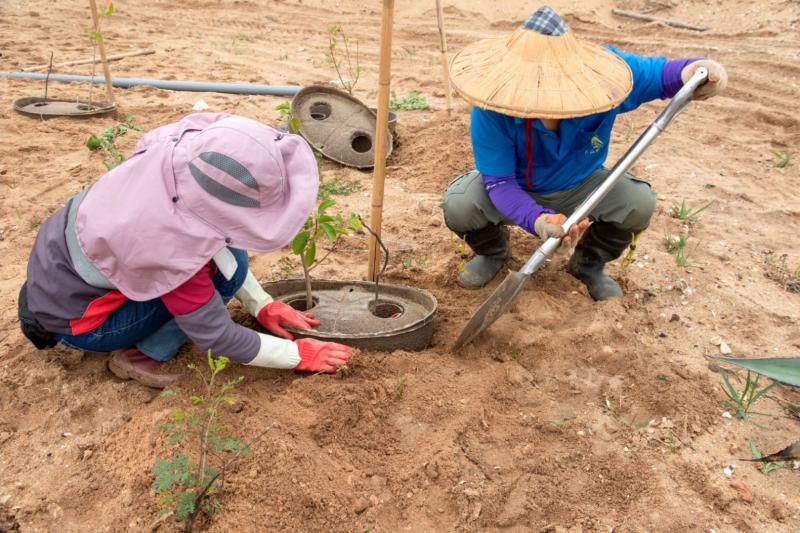 ▲林務所引進「水源寶育樹盆」，增加新種樹苗存活率。(圖/金門林務所提供)