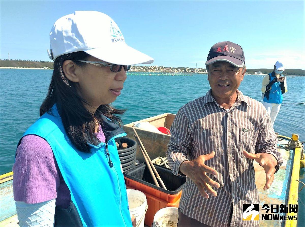 ▲澎湖縣農漁局長陳晶卉說，澎湖縣政府這幾年大力推廣「澎湖優鮮」的品牌，已經慢慢有了成果，相信這波嚴峻的疫情過後，一定能創造出獨特的優勢。（圖／記者張塵攝，2020.05.24）